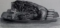 Picture 91 of 148 from The royal cookery book (le livre de cuisine) / by Jules Gouffé ; translated from the French and adapted for English use by Alphonse Gouffé ... comprising domestic and high-class cookery, illustrated with sixteen large plates printed in colours, and one hundred and sixty-one woodcuts from drawing from nature by E. Ronjat. (1868), leaf 419