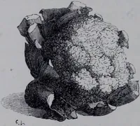 An illustration from The royal cookery book (le livre de cuisine) / by Jules Gouffé ; translated from the French and adapted for English use by Alphonse Gouffé ... comprising domestic and high-class cookery, illustrated with sixteen large plates printed in colours, and one hundred and sixty-one woodcuts from drawing from nature by E. Ronjat. (1868)