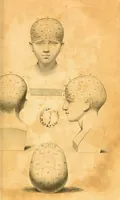 An illustration from Transactions of the Phrenological Society : instituted 22nd February 1820. (1824)