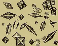 An illustration from Clinical diagnosis : the bacteriological, chemical, and microscopical evidence of disease / By Dr. Rudolf v. Jaksch, ... Translated from the third German edition and enlarged by James Cagney, ... With numerous illustrations (partly in colours). (1893)