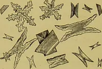 Picture 46 of 61 from Clinical diagnosis : the bacteriological, chemical, and microscopical evidence of disease / By Dr. Rudolf v. Jaksch, ... Translated from the third German edition and enlarged by James Cagney, ... With numerous illustrations (partly in colours). (1893), leaf 276