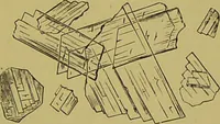 An illustration from Clinical diagnosis : the bacteriological, chemical, and microscopical evidence of disease / By Dr. Rudolf v. Jaksch, ... Translated from the third German edition and enlarged by James Cagney, ... With numerous illustrations (partly in colours). (1893)