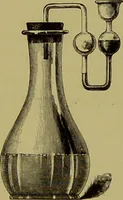 An illustration from Clinical diagnosis : the bacteriological, chemical, and microscopical evidence of disease / By Dr. Rudolf v. Jaksch, ... Translated from the third German edition and enlarged by James Cagney, ... With numerous illustrations (partly in colours). (1893)