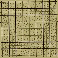 An illustration from Clinical diagnosis : the bacteriological, chemical, and microscopical evidence of disease / By Dr. Rudolf v. Jaksch, ... Translated from the third German edition and enlarged by James Cagney, ... With numerous illustrations (partly in colours). (1893)