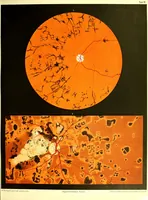 An illustration from Atlas of ophthalmoscopy : Representing the normal and pathological conditions of the fundus oculi as seen with the ophthalmoscope. Composed of 12 chromolithographic plates, containing 59 figures, drawn from nature and accompanied by an explanatory text / by Dr. R. Liebreich, the text translated by H. Rosborough Swanzy. (1870)