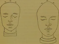 An illustration from Elements of phrenology / By George Combe. (1841)