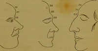 An illustration from Elements of phrenology / By George Combe. (1841)