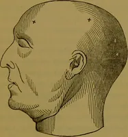 An illustration from Elements of phrenology / By George Combe. (1841)