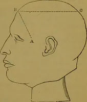 An illustration from Elements of phrenology / By George Combe. (1841)