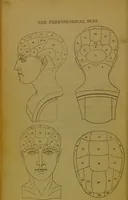 An illustration from Elements of phrenology / By George Combe. (1841)