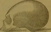 An illustration from Elements of phrenology / By George Combe. (1841)