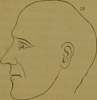 An illustration from Elements of phrenology / By George Combe. (1841)