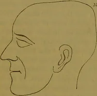 An illustration from Elements of phrenology / By George Combe. (1841)