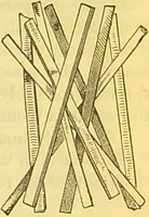 An illustration from The book of household management : comprising information for the mistress ... also, sanitary, medical, & legal memoranda; with a history of the origin, properties, and uses of all things connected with home life and comfort / by Mrs. Isabella Beeton. (1869)