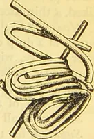 An illustration from The book of household management : comprising information for the mistress ... also, sanitary, medical, & legal memoranda; with a history of the origin, properties, and uses of all things connected with home life and comfort / by Mrs. Isabella Beeton. (1869)