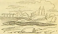 An illustration from The book of household management : comprising information for the mistress ... also, sanitary, medical, & legal memoranda; with a history of the origin, properties, and uses of all things connected with home life and comfort / by Mrs. Isabella Beeton. (1869)