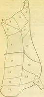 An illustration from The book of household management : comprising information for the mistress ... also, sanitary, medical, & legal memoranda; with a history of the origin, properties, and uses of all things connected with home life and comfort / by Mrs. Isabella Beeton. (1869)