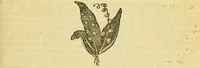 An illustration from The book of household management : comprising information for the mistress ... also, sanitary, medical, & legal memoranda; with a history of the origin, properties, and uses of all things connected with home life and comfort / by Mrs. Isabella Beeton. (1869)
