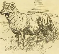 An illustration from The book of household management : comprising information for the mistress ... also, sanitary, medical, & legal memoranda; with a history of the origin, properties, and uses of all things connected with home life and comfort / by Mrs. Isabella Beeton. (1869)