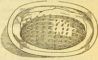 An illustration from The book of household management : comprising information for the mistress ... also, sanitary, medical, & legal memoranda; with a history of the origin, properties, and uses of all things connected with home life and comfort / by Mrs. Isabella Beeton. (1869)