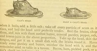 An illustration from The book of household management : comprising information for the mistress ... also, sanitary, medical, & legal memoranda; with a history of the origin, properties, and uses of all things connected with home life and comfort / by Mrs. Isabella Beeton. (1869)