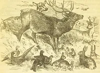 An illustration from The book of household management : comprising information for the mistress ... also, sanitary, medical, & legal memoranda; with a history of the origin, properties, and uses of all things connected with home life and comfort / by Mrs. Isabella Beeton. (1869)