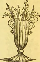 An illustration from The book of household management : comprising information for the mistress ... also, sanitary, medical, & legal memoranda; with a history of the origin, properties, and uses of all things connected with home life and comfort / by Mrs. Isabella Beeton. (1869)