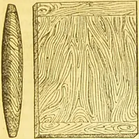 An illustration from The book of household management : comprising information for the mistress ... also, sanitary, medical, & legal memoranda; with a history of the origin, properties, and uses of all things connected with home life and comfort / by Mrs. Isabella Beeton. (1869)