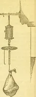 An illustration from The book of household management : comprising information for the mistress ... also, sanitary, medical, & legal memoranda; with a history of the origin, properties, and uses of all things connected with home life and comfort / by Mrs. Isabella Beeton. (1869)