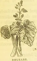An illustration from The book of household management : comprising information for the mistress ... also, sanitary, medical, & legal memoranda; with a history of the origin, properties, and uses of all things connected with home life and comfort / by Mrs. Isabella Beeton. (1869)