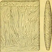An illustration from The book of household management : comprising information for the mistress ... also, sanitary, medical, & legal memoranda; with a history of the origin, properties, and uses of all things connected with home life and comfort / by Mrs. Isabella Beeton. (1869)