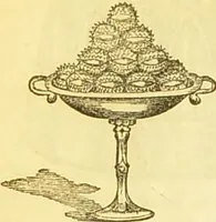 An illustration from The book of household management : comprising information for the mistress ... also, sanitary, medical, & legal memoranda; with a history of the origin, properties, and uses of all things connected with home life and comfort / by Mrs. Isabella Beeton. (1869)