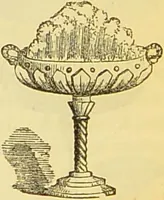 An illustration from The book of household management : comprising information for the mistress ... also, sanitary, medical, & legal memoranda; with a history of the origin, properties, and uses of all things connected with home life and comfort / by Mrs. Isabella Beeton. (1869)