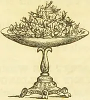 An illustration from The book of household management : comprising information for the mistress ... also, sanitary, medical, & legal memoranda; with a history of the origin, properties, and uses of all things connected with home life and comfort / by Mrs. Isabella Beeton. (1869)