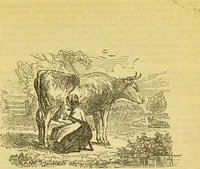 An illustration from The book of household management : comprising information for the mistress ... also, sanitary, medical, & legal memoranda; with a history of the origin, properties, and uses of all things connected with home life and comfort / by Mrs. Isabella Beeton. (1869)