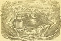 An illustration from The book of household management : comprising information for the mistress ... also, sanitary, medical, & legal memoranda; with a history of the origin, properties, and uses of all things connected with home life and comfort / by Mrs. Isabella Beeton. (1869)