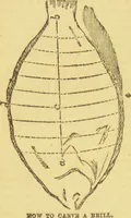 An illustration from Beeton's every-day cookery and housekeeping book : comprising instructions for mistress and servants, and a collection of over sixteen hundred and fifty practical receipts. With numerous wood engravings and one hundred and forty-two coloured figures, showing the proper mode of sending dishes to table. (1888)