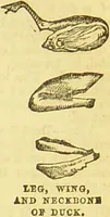 An illustration from Beeton's every-day cookery and housekeeping book : comprising instructions for mistress and servants, and a collection of over sixteen hundred and fifty practical receipts. With numerous wood engravings and one hundred and forty-two coloured figures, showing the proper mode of sending dishes to table. (1888)