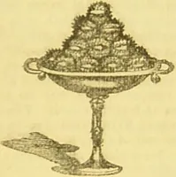 An illustration from Beeton's every-day cookery and housekeeping book : comprising instructions for mistress and servants, and a collection of over sixteen hundred and fifty practical receipts. With numerous wood engravings and one hundred and forty-two coloured figures, showing the proper mode of sending dishes to table. (1888)