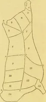 An illustration from Beeton's every-day cookery and housekeeping book : comprising instructions for mistress and servants, and a collection of over sixteen hundred and fifty practical receipts. With numerous wood engravings and one hundred and forty-two coloured figures, showing the proper mode of sending dishes to table. (1888)