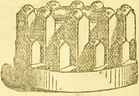 An illustration from Beeton's every-day cookery and housekeeping book : comprising instructions for mistress and servants, and a collection of over sixteen hundred and fifty practical receipts. With numerous wood engravings and one hundred and forty-two coloured figures, showing the proper mode of sending dishes to table. (1888)