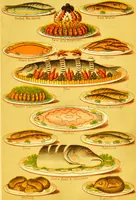 An illustration from Beeton's every-day cookery and housekeeping book : comprising instructions for mistress and servants, and a collection of over sixteen hundred and fifty practical receipts. With numerous wood engravings and one hundred and forty-two coloured figures, showing the proper mode of sending dishes to table. (1888)