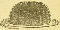 An illustration from Beeton's every-day cookery and housekeeping book : comprising instructions for mistress and servants, and a collection of over sixteen hundred and fifty practical receipts. With numerous wood engravings and one hundred and forty-two coloured figures, showing the proper mode of sending dishes to table. (1888)