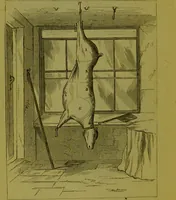 An illustration from Warne's model cookery and housekeeping book : containing complete instructions in household management, and receipts for breakfast dishes ... bills of fare, duties of servants, etc. / compiled and edited by Mary Jewry. (1871)