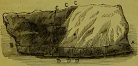 An illustration from Warne's model cookery and housekeeping book : containing complete instructions in household management, and receipts for breakfast dishes ... bills of fare, duties of servants, etc. / compiled and edited by Mary Jewry. (1871)