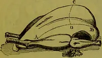 Picture 41 of 53 from Warne's model cookery and housekeeping book : containing complete instructions in household management, and receipts for breakfast dishes ... bills of fare, duties of servants, etc. / compiled and edited by Mary Jewry. (1871), leaf 40