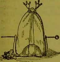 An illustration from Warne's model cookery and housekeeping book : containing complete instructions in household management, and receipts for breakfast dishes ... bills of fare, duties of servants, etc. / compiled and edited by Mary Jewry. (1871)