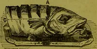 An illustration from Warne's model cookery and housekeeping book : containing complete instructions in household management, and receipts for breakfast dishes ... bills of fare, duties of servants, etc. / compiled and edited by Mary Jewry. (1871)
