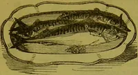 An illustration from Warne's model cookery and housekeeping book : containing complete instructions in household management, and receipts for breakfast dishes ... bills of fare, duties of servants, etc. / compiled and edited by Mary Jewry. (1871)