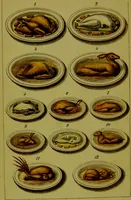 Picture 51 of 53 from Warne's model cookery and housekeeping book : containing complete instructions in household management, and receipts for breakfast dishes ... bills of fare, duties of servants, etc. / compiled and edited by Mary Jewry. (1871), leaf 94